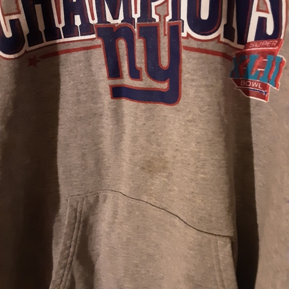 Gray Super Bowl Champions Hoodie - Picture 3 of 5